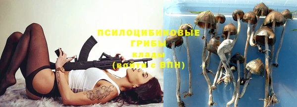 прущие крисы Армянск