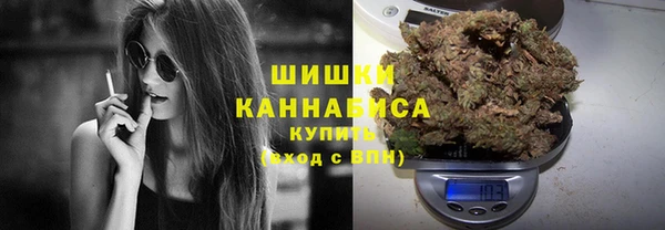 Альфа ПВП Гатчина