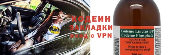 МДПВ Бородино