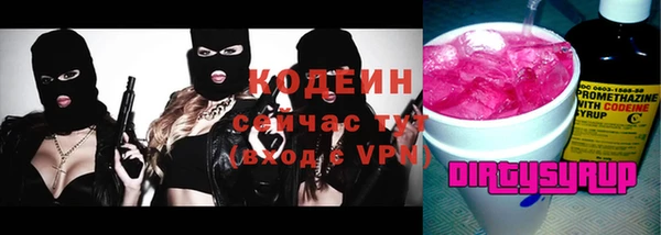 МДПВ Бородино