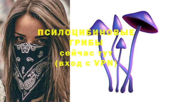 МДПВ Арсеньев