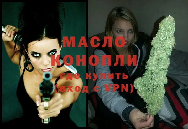 МДПВ Бородино