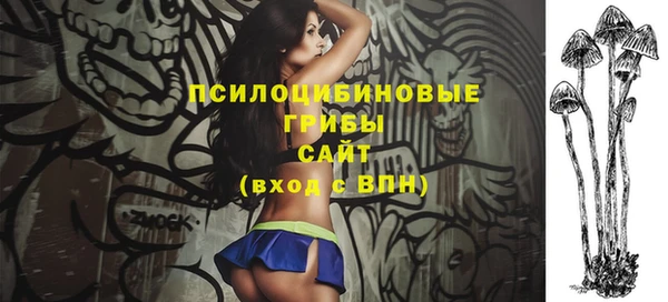 МДПВ Арсеньев