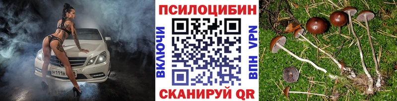 Псилоцибиновые грибы MAGIC MUSHROOMS  Колпашево 